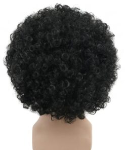 Perruque Afro Homme Noire Deluxe