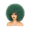 Perruque Afro Color Pop