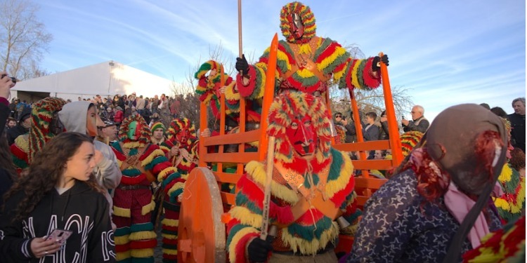 costumes lors d'un carnaval